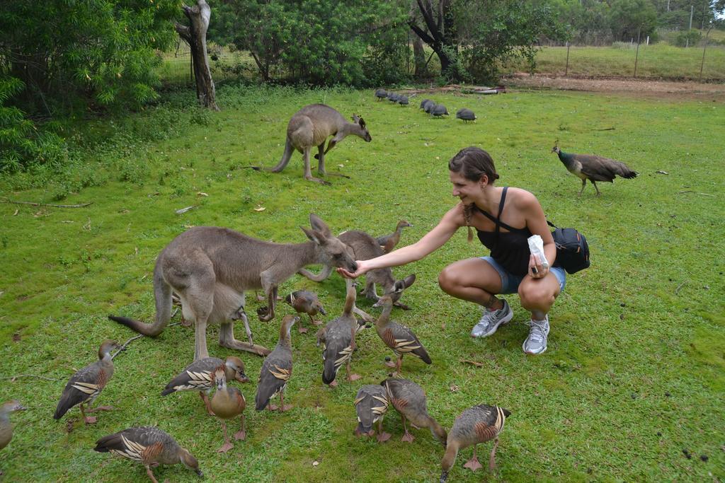 Coral Inn Boutique Resort Yeppoon Bagian luar foto